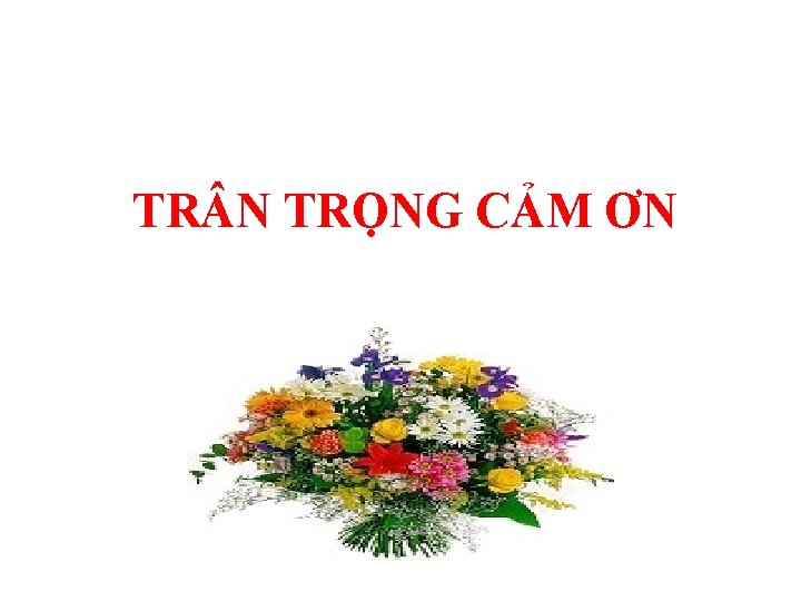 TR N TRỌNG CẢM ƠN 