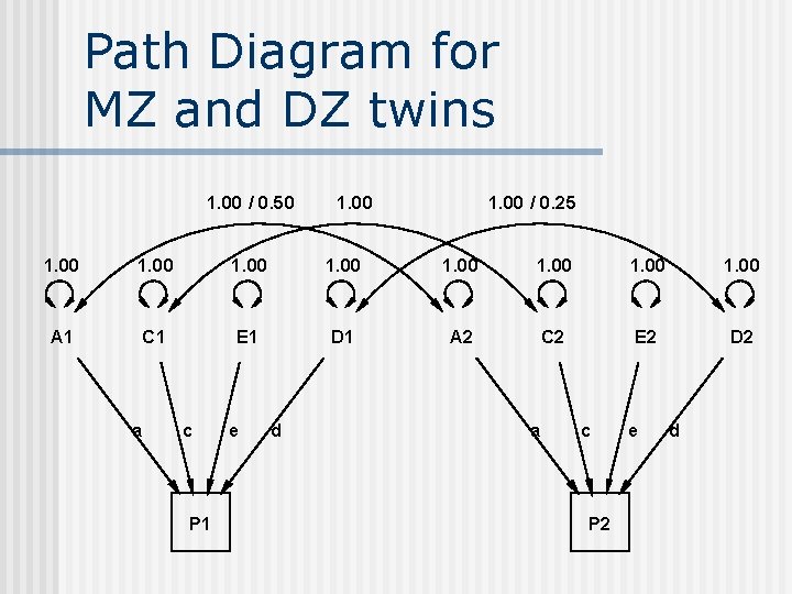 Path Diagram for MZ and DZ twins 1. 00 / 0. 50 1. 00