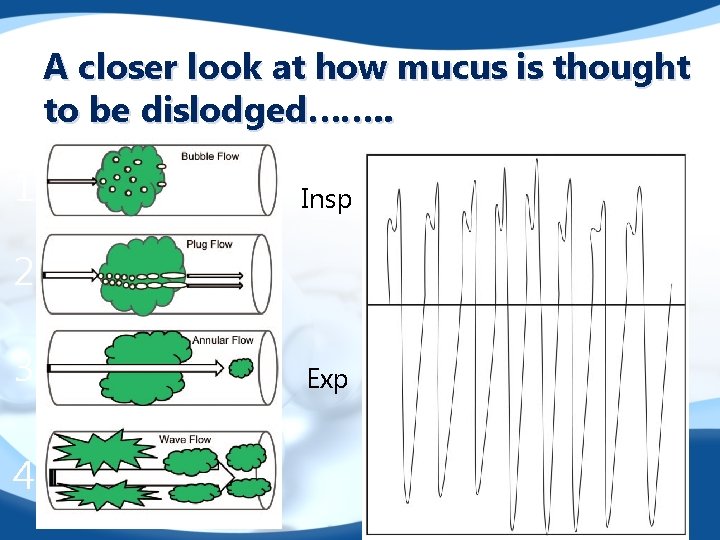A closer look at how mucus is thought to be dislodged……. . 1 Insp