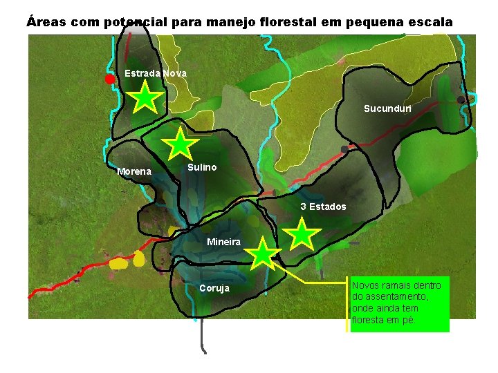 Áreas com potencial para manejo florestal em pequena escala Estrada Nova Sucunduri Morena Sulino