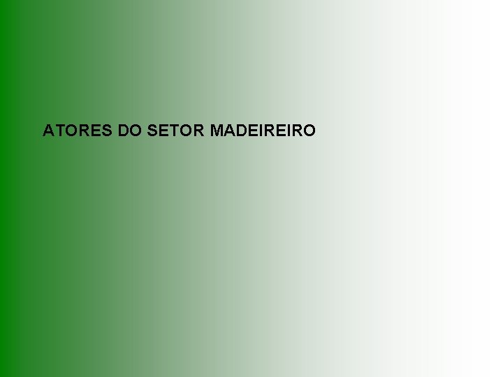 ATORES DO SETOR MADEIREIRO 