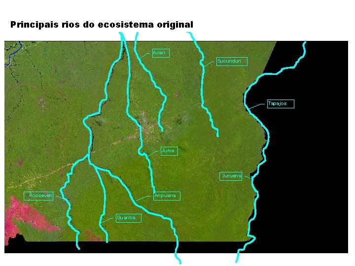 Principais rios do ecosistema original Acari Sucunduri Tapajos Juma Juruena Roosevelt Aripuana Guariba 