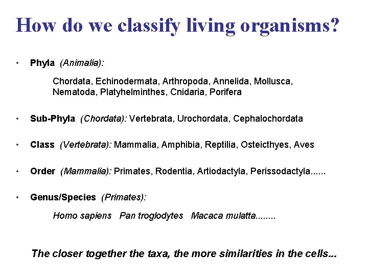 How do we classify living organisms? • Phyla (Animalia): Chordata, Echinodermata, Arthropoda, Annelida, Mollusca,
