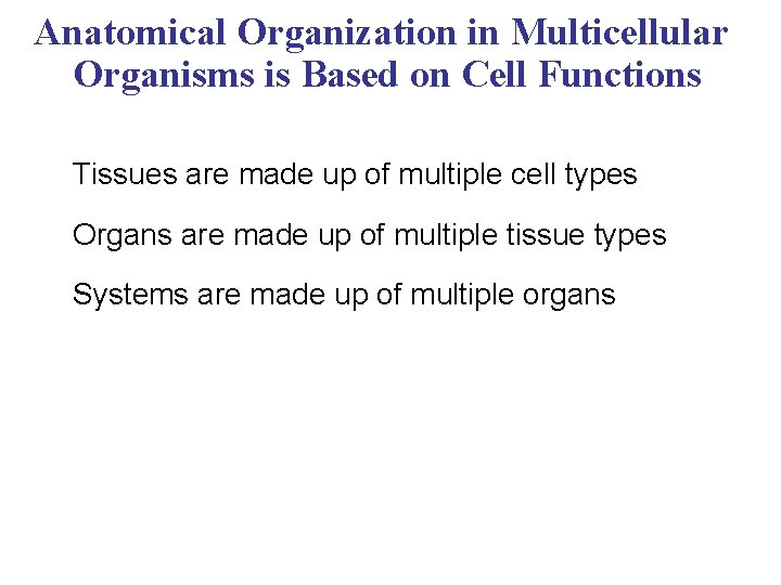 Anatomical Organization in Multicellular Organisms is Based on Cell Functions Tissues are made up