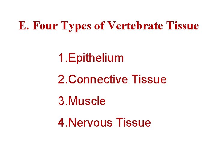 E. Four Types of Vertebrate Tissue 1. Epithelium 2. Connective Tissue 3. Muscle 4.