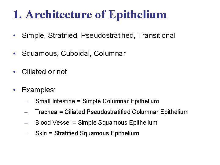 1. Architecture of Epithelium • Simple, Stratified, Pseudostratified, Transitional • Squamous, Cuboidal, Columnar •