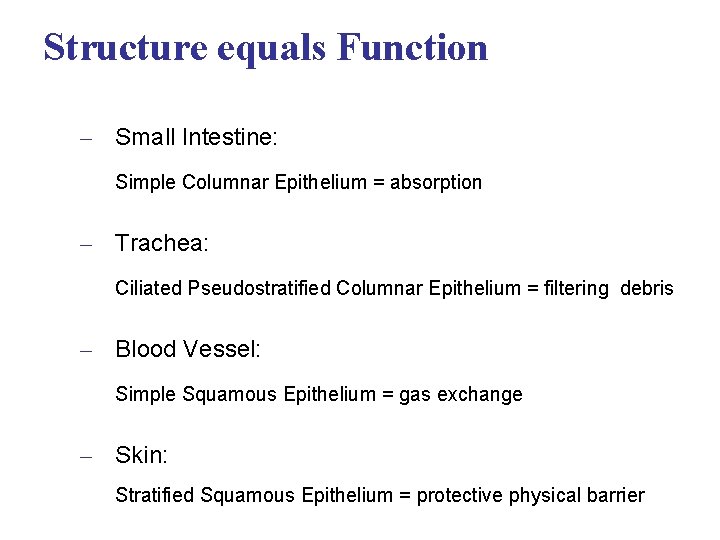 Structure equals Function – Small Intestine: Simple Columnar Epithelium = absorption – Trachea: Ciliated