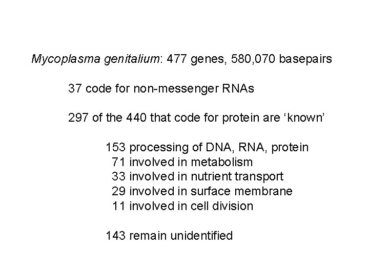 Mycoplasma genitalium: 477 genes, 580, 070 basepairs 37 code for non-messenger RNAs 297 of