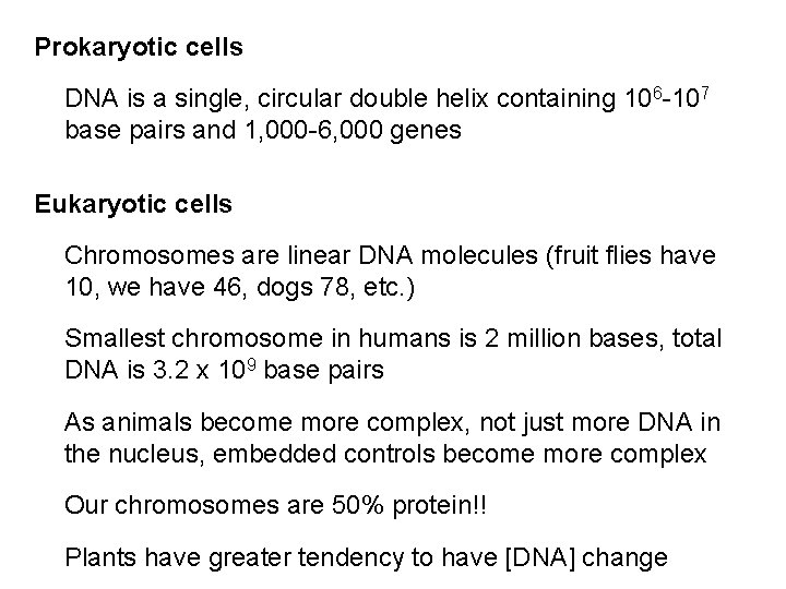 Prokaryotic cells DNA is a single, circular double helix containing 106 -107 base pairs