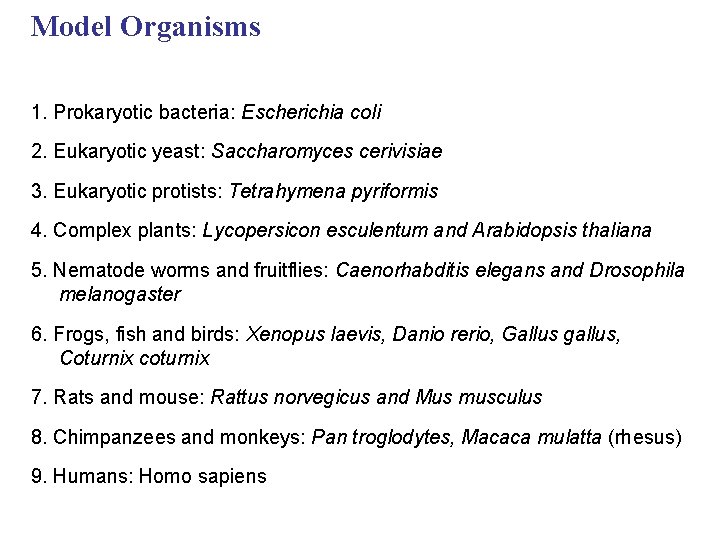 Model Organisms 1. Prokaryotic bacteria: Escherichia coli 2. Eukaryotic yeast: Saccharomyces cerivisiae 3. Eukaryotic