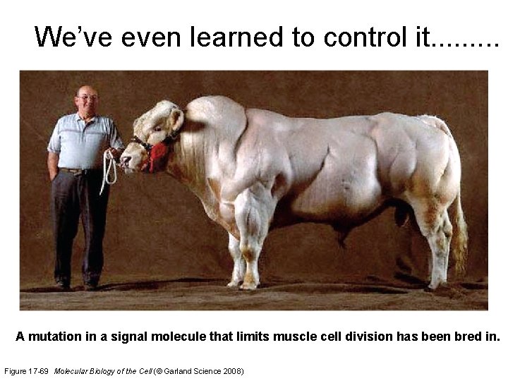 We’ve even learned to control it. . A mutation in a signal molecule that