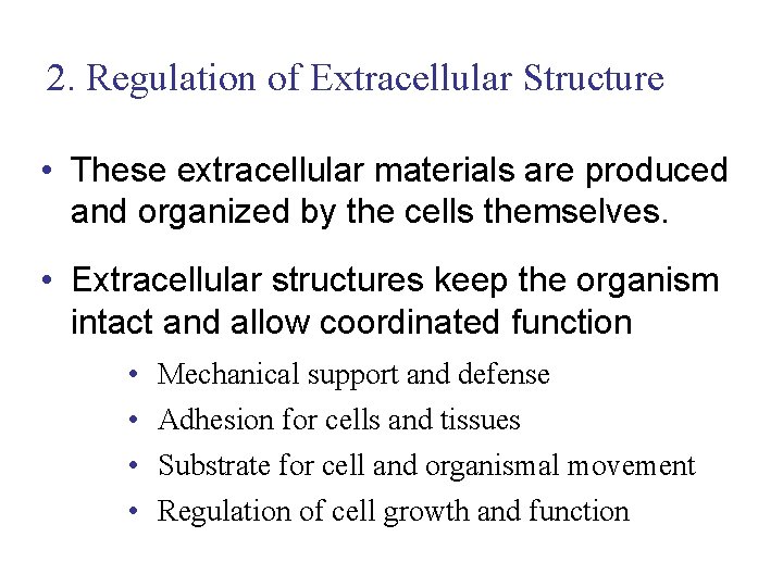 2. Regulation of Extracellular Structure • These extracellular materials are produced and organized by