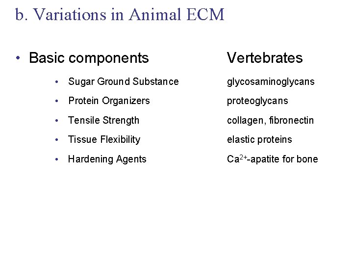 b. Variations in Animal ECM • Basic components Vertebrates • Sugar Ground Substance glycosaminoglycans
