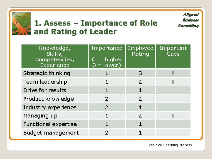 Aligned Business Consulting 1. Assess – Importance of Role and Rating of Leader Knowledge,