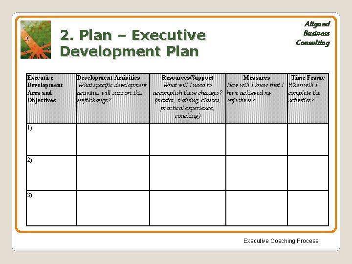 2. Plan – Executive Development Plan Executive Development Area and Objectives Development Activities What
