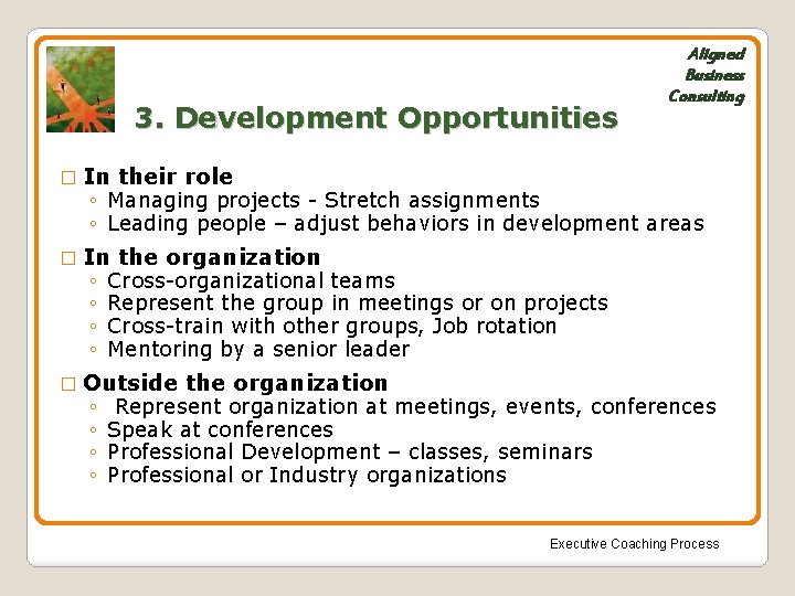 3. Development Opportunities � In their role � In the organization Aligned Business Consulting