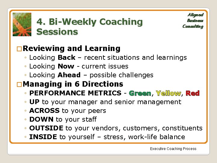 4. Bi-Weekly Coaching Sessions � Reviewing Aligned Business Consulting and Learning ◦ Looking Back