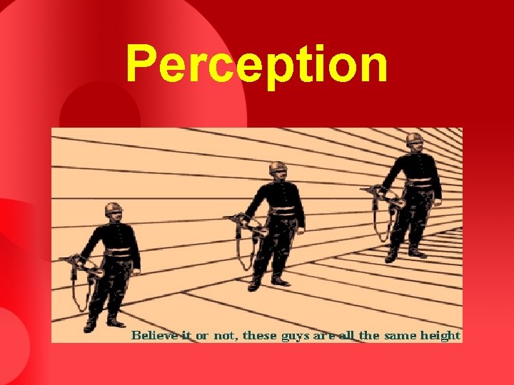 Perception Perception