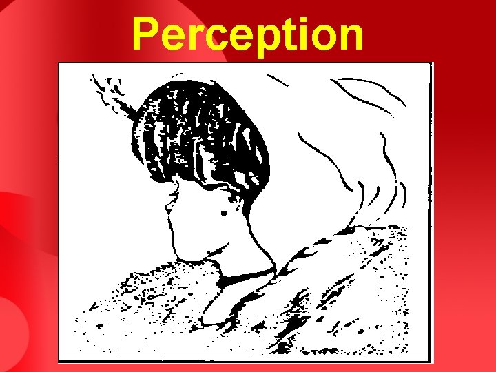 Perception Perception
