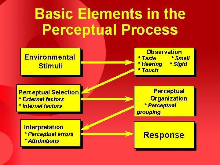 Basic Elements in the Perceptual Process Environmental Stimuli Perceptual Selection * External factors * Basic Elements in the Perceptual Process Environmental Stimuli Perceptual Selection * External factors *
