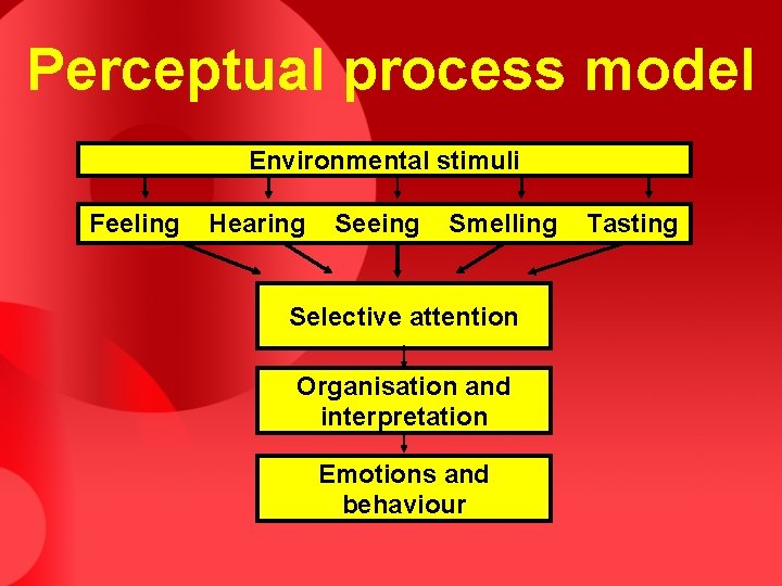 Perceptual process model Environmental stimuli Feeling Hearing Seeing Smelling Selective attention Organisation and interpretation Perceptual process model Environmental stimuli Feeling Hearing Seeing Smelling Selective attention Organisation and interpretation