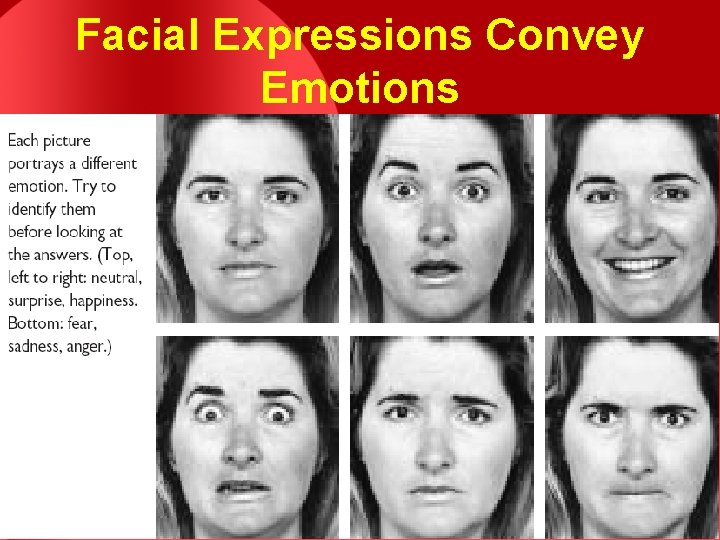 Facial Expressions Convey Emotions Facial Expressions Convey Emotions