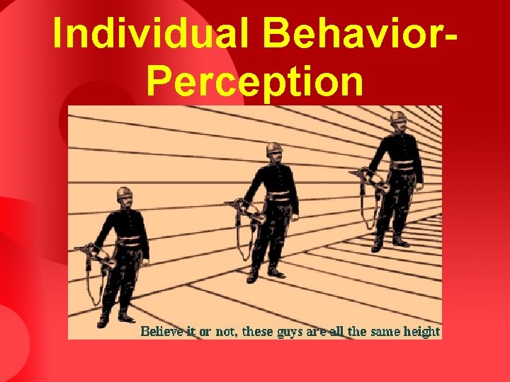 Individual Behavior. Perception Individual Behavior. Perception