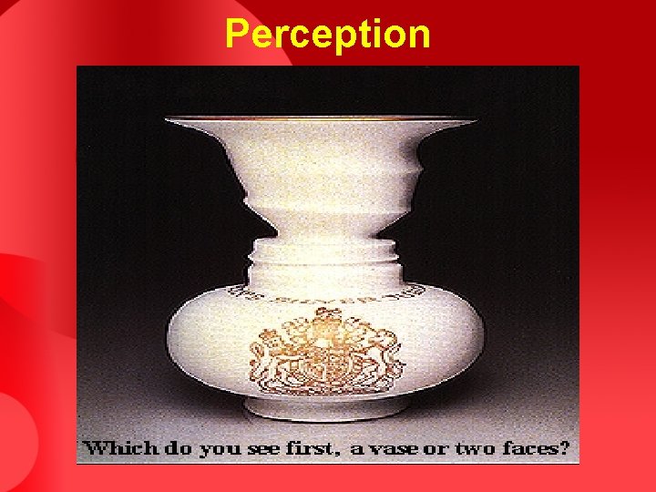 Perception Perception