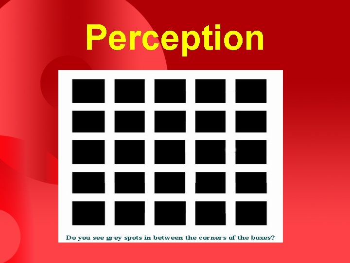 Perception Perception