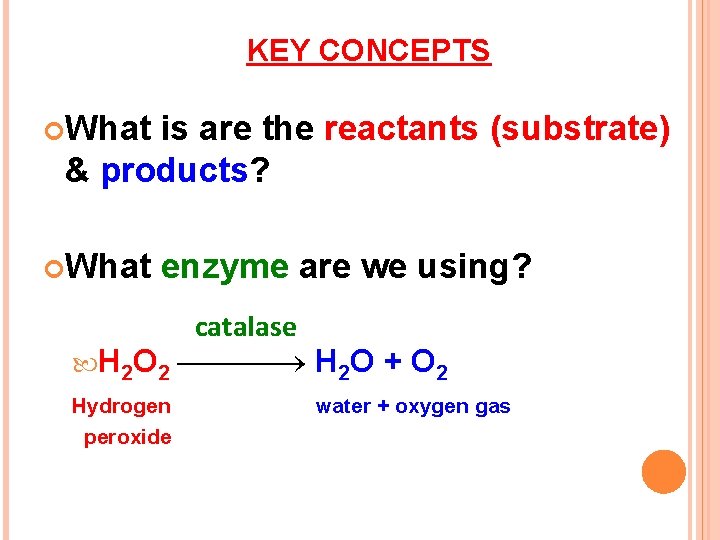 KEY CONCEPTS What is are the reactants (substrate) & products? What enzyme are we