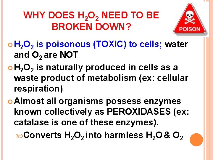 WHY DOES H 2 O 2 NEED TO BE BROKEN DOWN? H 2 O