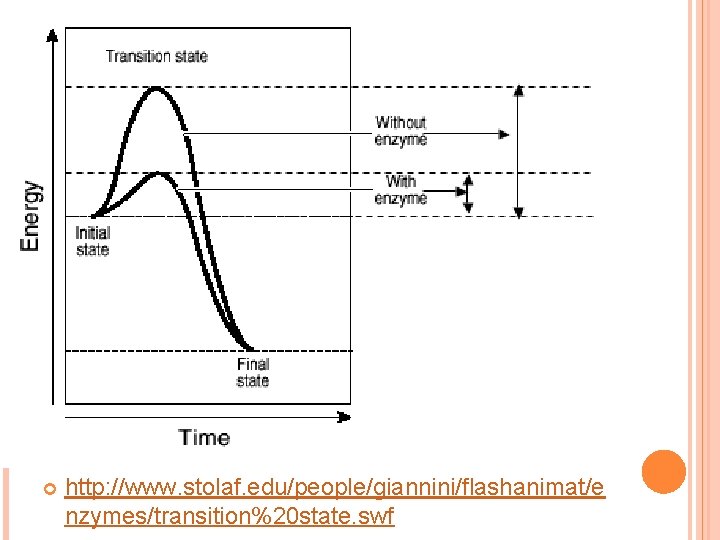  http: //www. stolaf. edu/people/giannini/flashanimat/e nzymes/transition%20 state. swf 