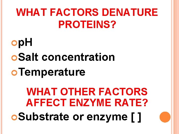WHAT FACTORS DENATURE PROTEINS? p. H Salt concentration Temperature WHAT OTHER FACTORS AFFECT ENZYME
