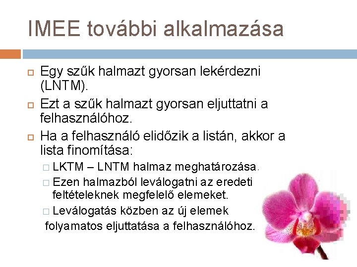 IMEE további alkalmazása Egy szűk halmazt gyorsan lekérdezni (LNTM). Ezt a szűk halmazt gyorsan