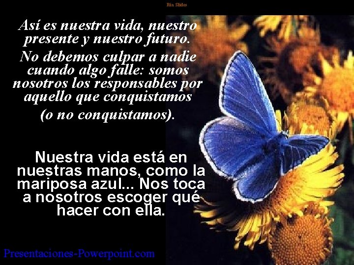 Ria Slides Así es nuestra vida, nuestro presente y nuestro futuro. No debemos culpar Ria Slides Así es nuestra vida, nuestro presente y nuestro futuro. No debemos culpar