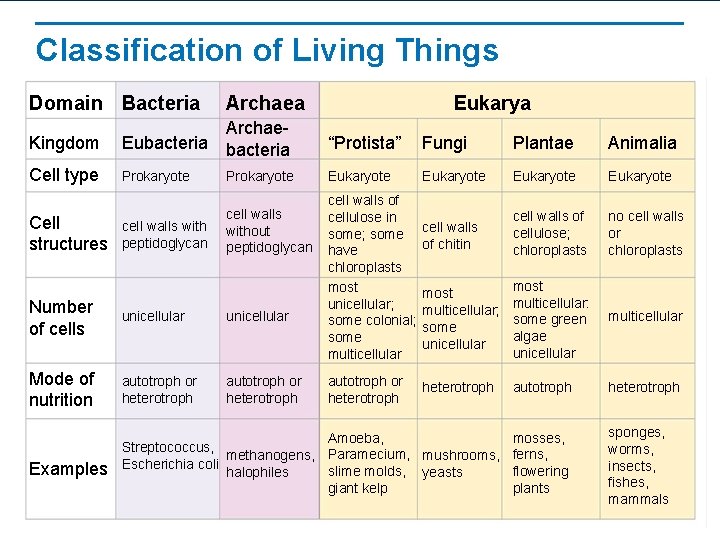 Classification of Living Things Domain Bacteria Archaea Kingdom Eubacteria Archaebacteria “Protista” Fungi Plantae Animalia