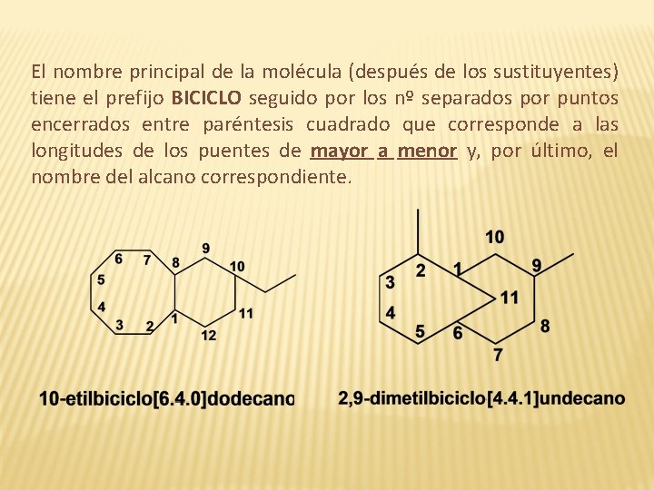 El nombre principal de la molécula (después de los sustituyentes) tiene el prefijo BICICLO