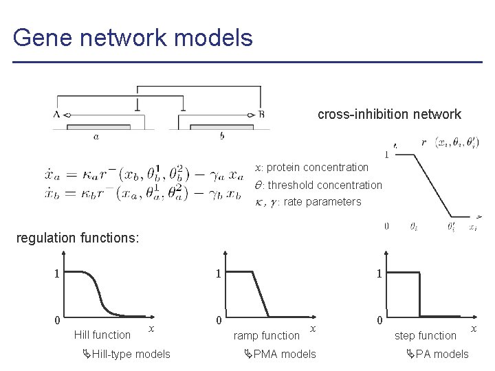 Gene network models cross-inhibition network x: protein concentration : threshold concentration , : rate