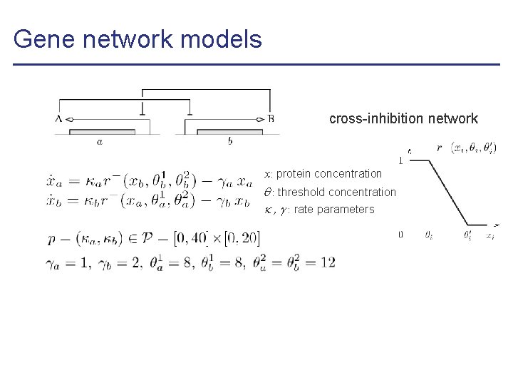 Gene network models cross-inhibition network x: protein concentration : threshold concentration , : rate