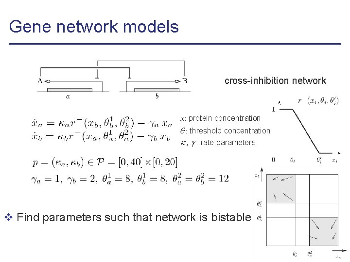 Gene network models cross-inhibition network x: protein concentration : threshold concentration , : rate