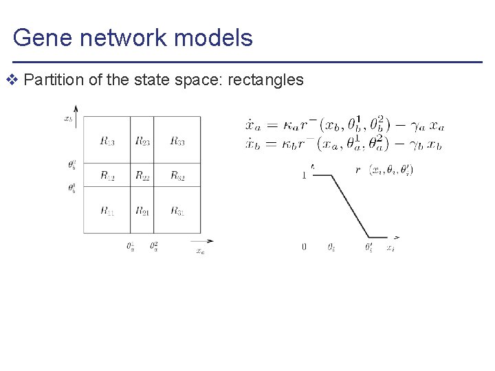 Gene network models v Partition of the state space: rectangles 