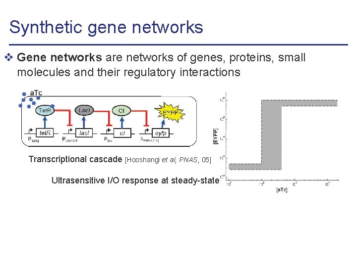 Synthetic gene networks v Gene networks are networks of genes, proteins, small molecules and