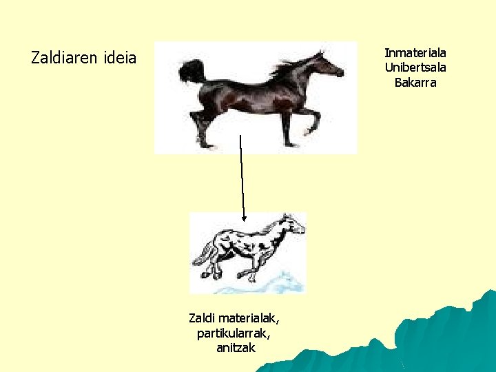 Inmateriala Unibertsala Bakarra Zaldiaren ideia Zaldi materialak, partikularrak, anitzak 