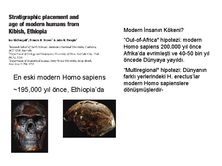 Modern İnsanın Kökeni? “Out-of-Africa" hipotezi: modern Homo sapiens 200, 000 yıl önce Afrika’da evrimleşti