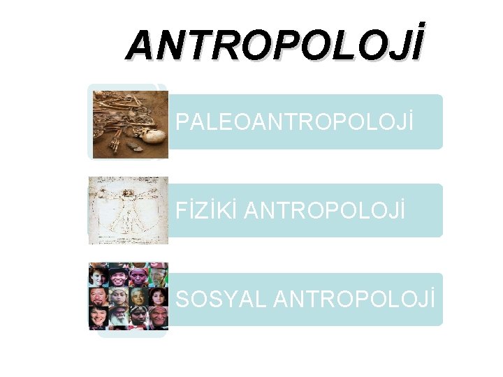 ANTROPOLOJİ PALEOANTROPOLOJİ FİZİKİ ANTROPOLOJİ SOSYAL ANTROPOLOJİ 