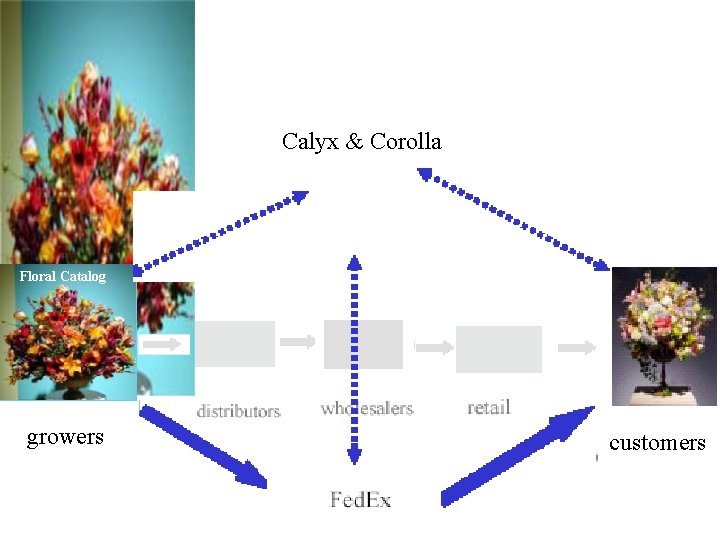 Calyx & Corolla Floral Catalog growers customers 