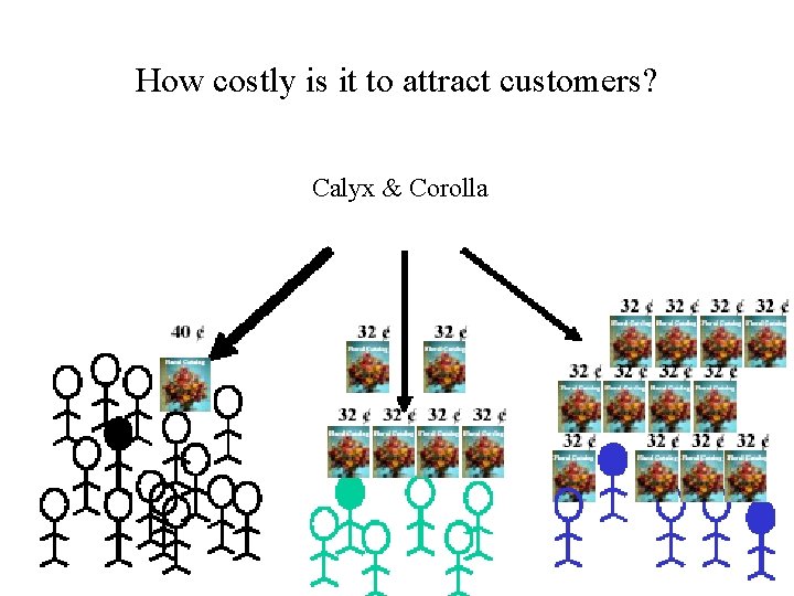 How costly is it to attract customers? Calyx & Corolla 