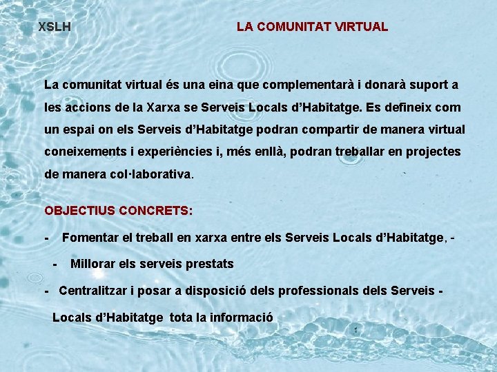 XSLH LA COMUNITAT VIRTUAL La comunitat virtual és una eina que complementarà i donarà