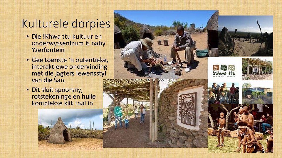 Kulturele dorpies • Die !Khwa ttu kultuur en onderwyssentrum is naby Yzerfontein • Gee