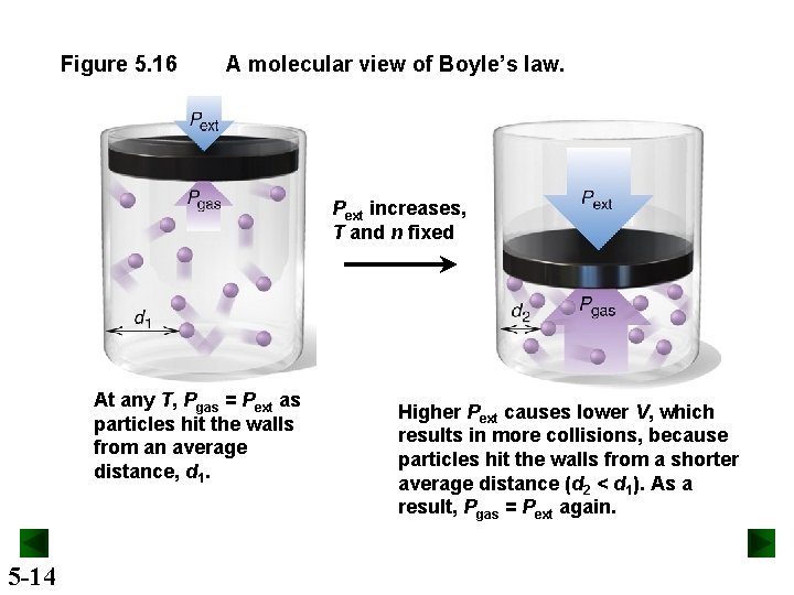 Figure 5. 16 A molecular view of Boyle’s law. Pext increases, T and n